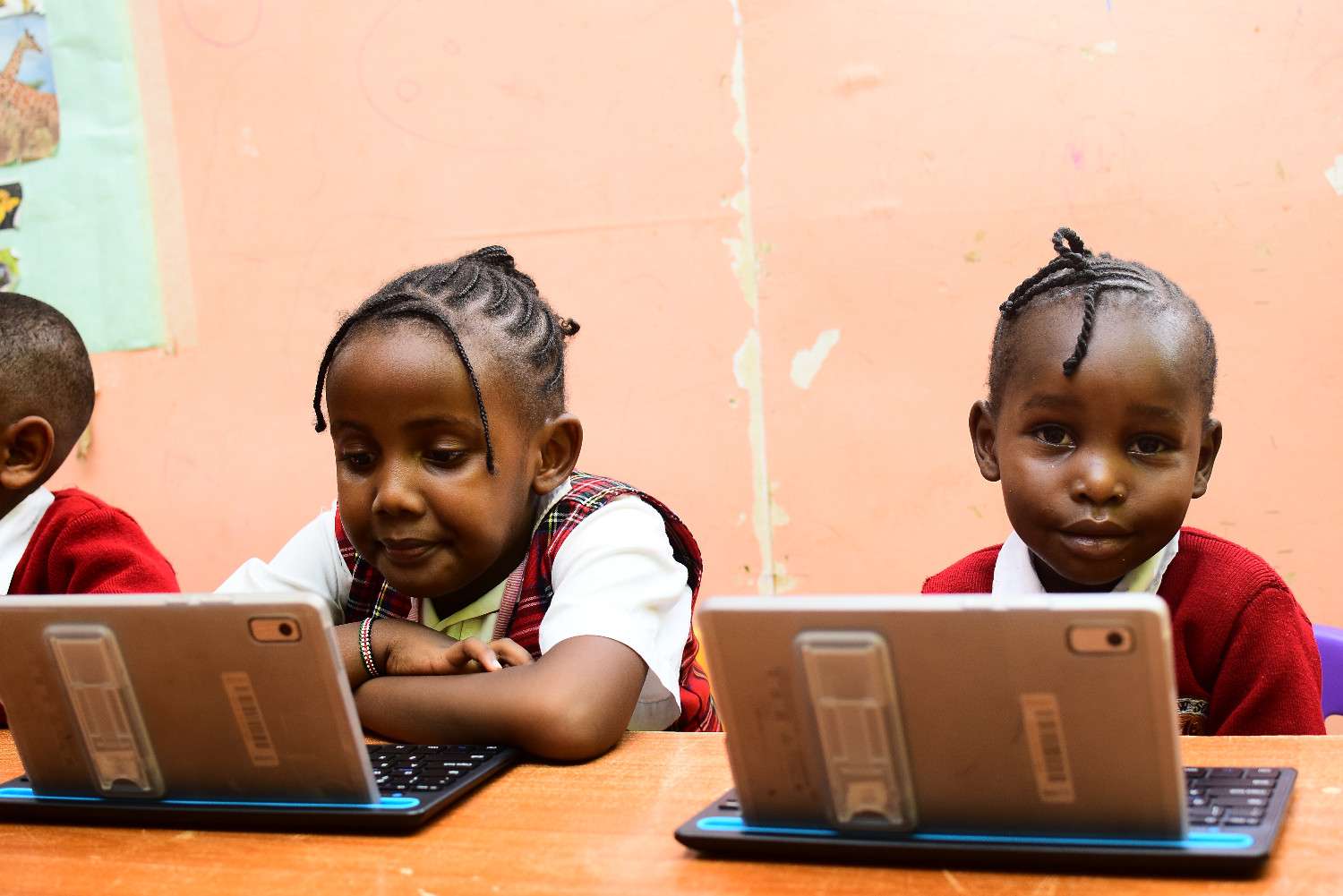 pupi...............................